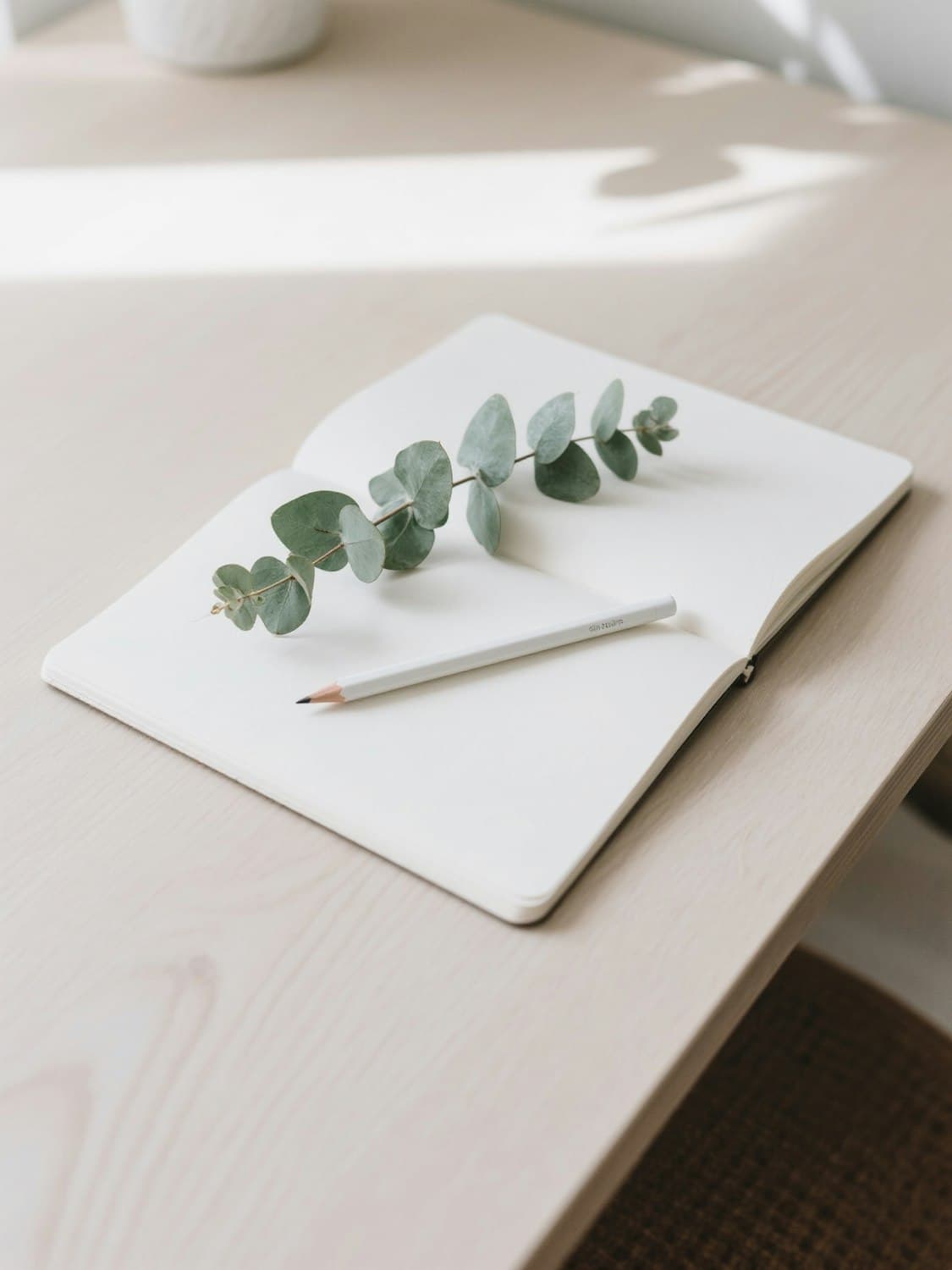 An open notebook, a pencil and a sprig of eucalyptus on a pale wooden desk in morning light